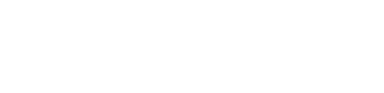 AccelerAI